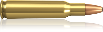 .22-250 Remington Norma Oryx 55 grs
