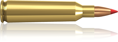 .22-250 Remington Hornady V-MAX 50 grs