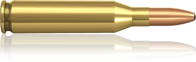 .243 Winchester Norma Bleispitze 100 grs