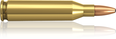 .243 Winchester Norma Oryx 100 grs