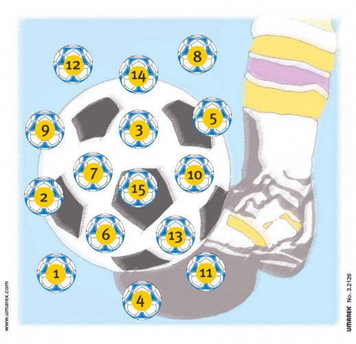 Zielscheiben 14 x 14 Glücks-Fussball