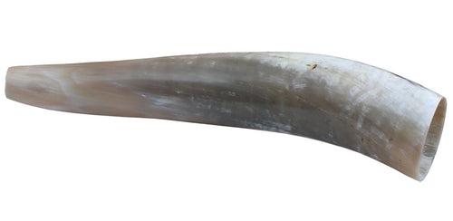 Hirschruf Ochsenhorn