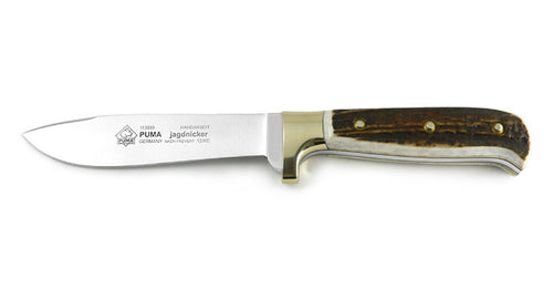 Jagdnicker Puma