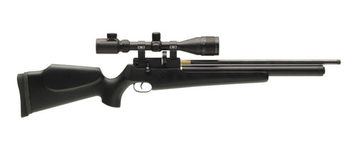 T12